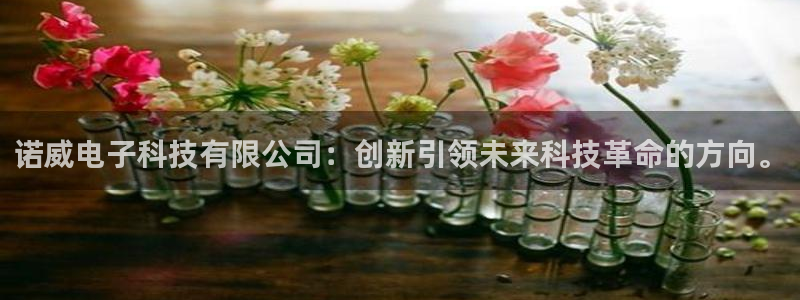 诺威电子科技有限公司：创新引领未来科技革命的方向。
