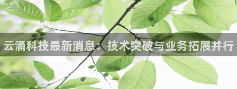 云涌科技最新消息：技术突破与业务拓展并行