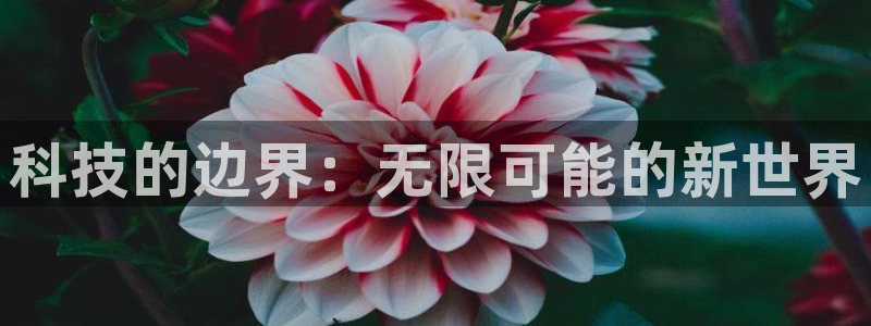 科技的边界：无限可能的新世界