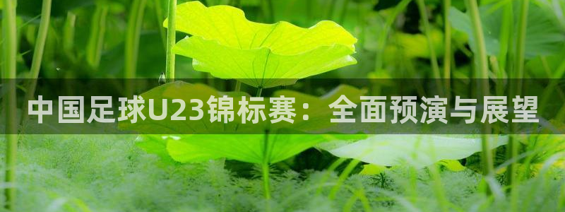 中国足球U23锦标赛：全面预演与展望