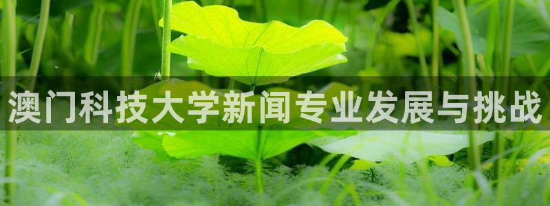 澳门科技大学新闻专业发展与挑战
