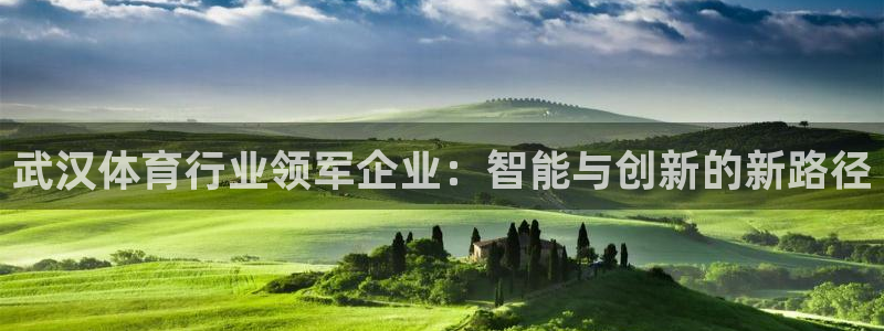 武汉体育行业领军企业：智能与创新的新路径