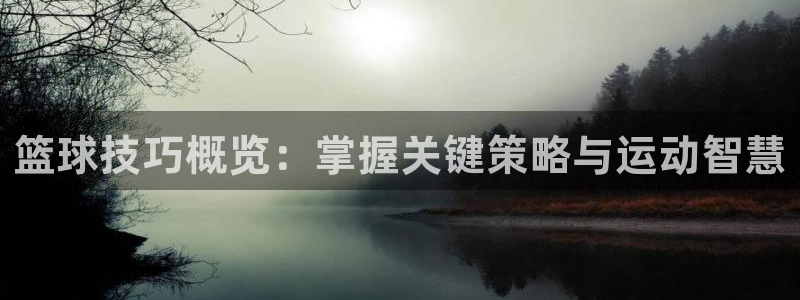 篮球技巧概览：掌握关键策略与运动智慧